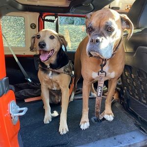 Meet your Posher, Stephanie